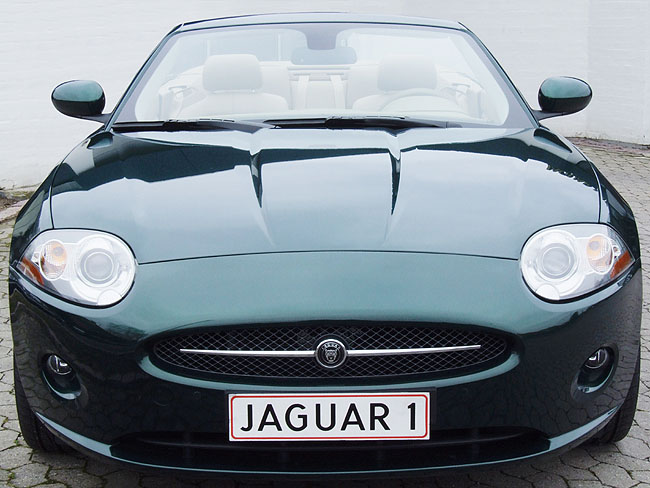 image/jaguar-084.jpg