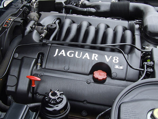 image/jaguar-117.jpg