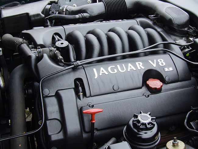 image/jaguar-118.jpg