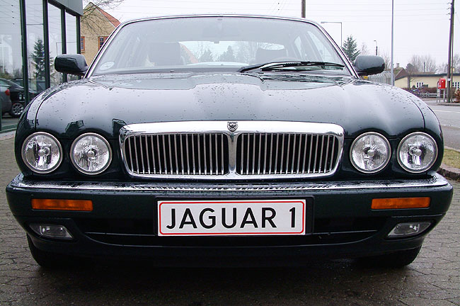 image/jaguar-16.jpg