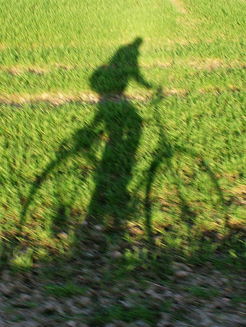 image/cykel-skygge-07.jpg