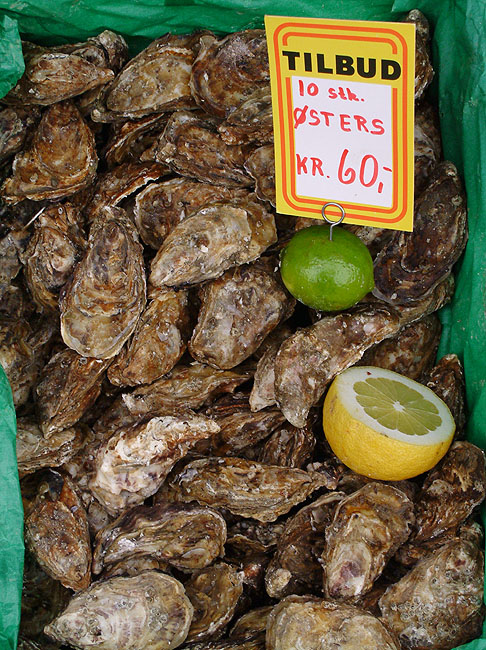 image/oesters-14.jpg