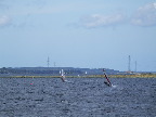 image/_windsurfer-473.jpg