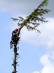image/_topkapning-204.jpg
