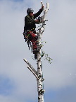 image/_topkapning-643.jpg