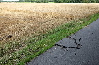 image/_hul_i_cykelsti-8918.jpg