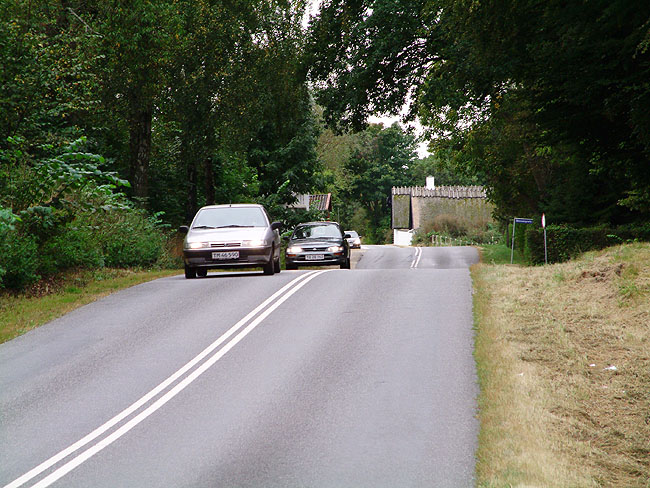image/vej_gennem_skoven-45.jpg
