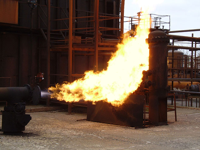 image/falck_nutec-28.jpg
