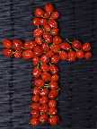 image/_habanero-09.jpg