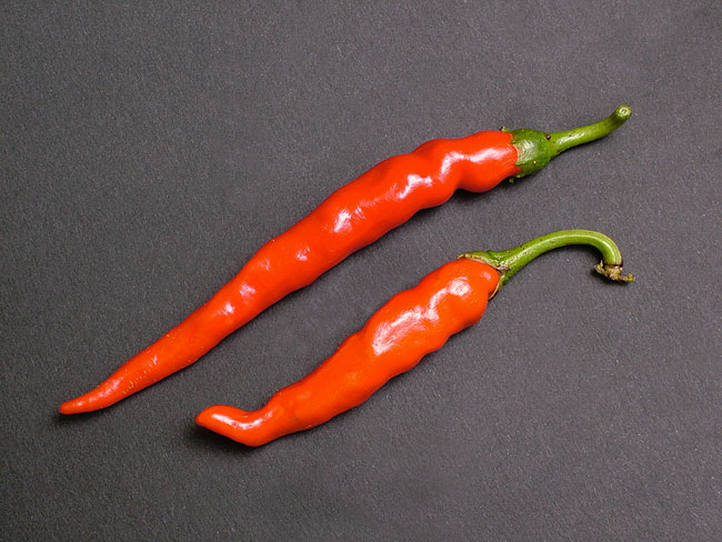 image/chili-11.jpg