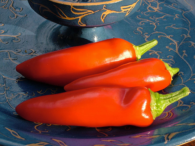 image/chili-36.jpg
