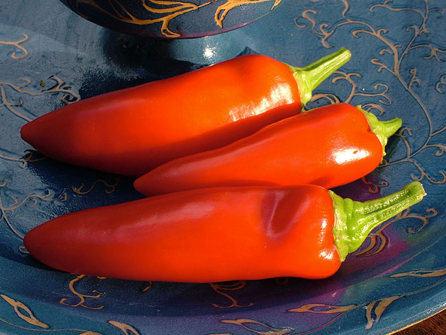 image/chili-37.jpg