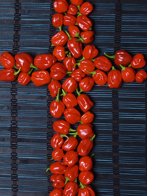 image/habanero-08.jpg