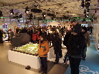 image/_cop15_copenhagen-20.jpg