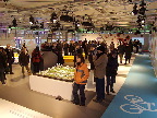 image/_cop15_copenhagen-21.jpg