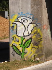 image/_graffiti-1233.jpg