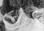 image/_lave_hash-8882.jpg