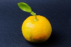 image/_appelsin-4706.jpg