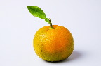 image/_appelsin-4710.jpg
