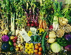 image/_oekologisk_groent-01.jpg