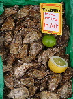image/_oesters-14.jpg