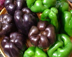 image/_peberfrugter-88.jpg