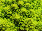 image/_romanesco_kaal-950.jpg