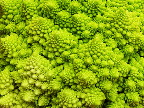 image/_romanesco_kaal-952.jpg
