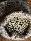 image/_saek_kaffeboenner-02.jpg