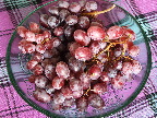 image/_vindruer-424.jpg