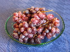 image/_vindruer-428.jpg