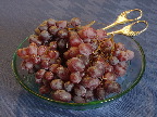 image/_vindruer-432.jpg
