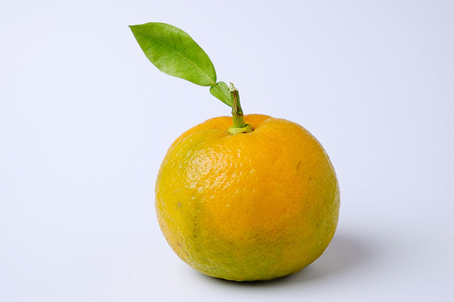 image/appelsin-4709.jpg
