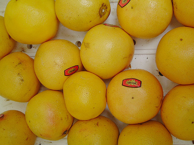 image/grapefrugt-05.jpg