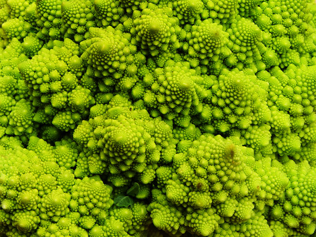 image/romanesco_kaal-950.jpg