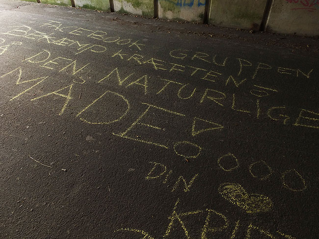 image/ord_paa_vejen-004.jpg