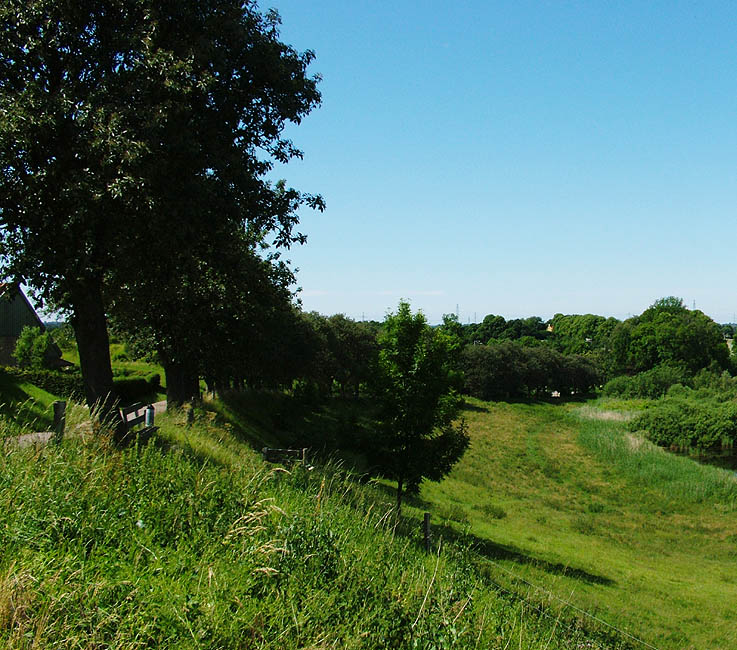 Panorama - Udsigt over Brøns mose i Veksø Sj.