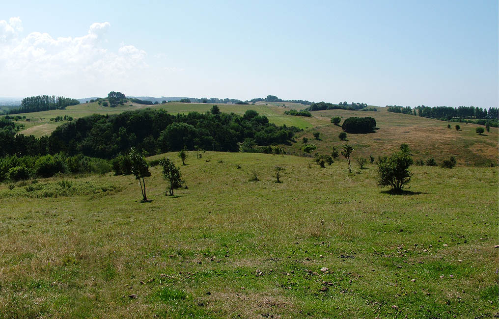 Panorama - Udsigt fra Diesebjerg ned over Lammefjorden