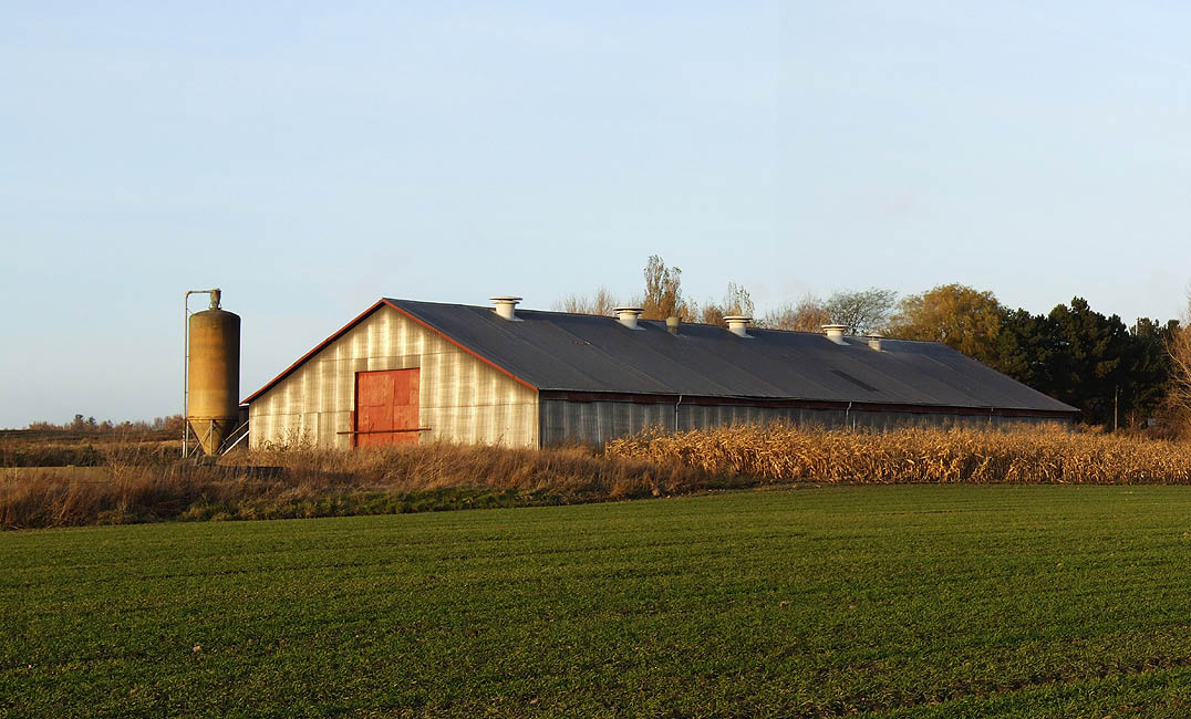 Panorama - Gården Varmedal i Svestrup