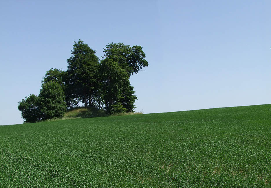 Panorama - Sakshøje ved Rye, de lokale kalder dem Svend, Knud og Valdemar