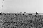 image/_strand_sicilien-3521.jpg