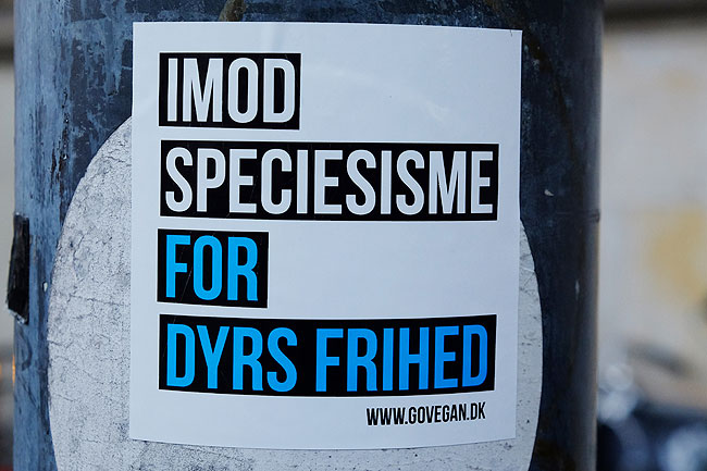 image/stickers-4557.jpg