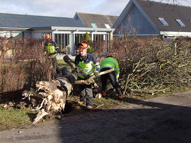 image/efter_stormen-407.jpg