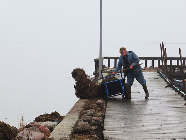 image/efter_stormfloden-963.jpg