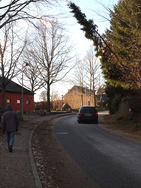image/stormfaeldet_trae-779.jpg