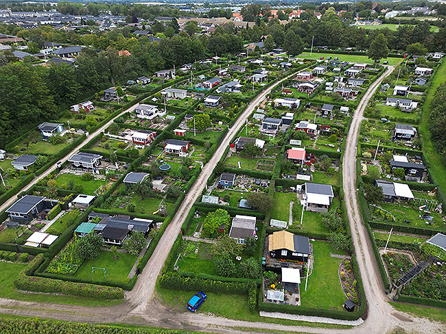 image/kolonihaver-0271.jpg