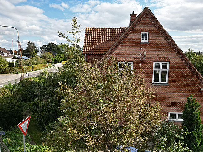 image/peters_hus-0360.jpg