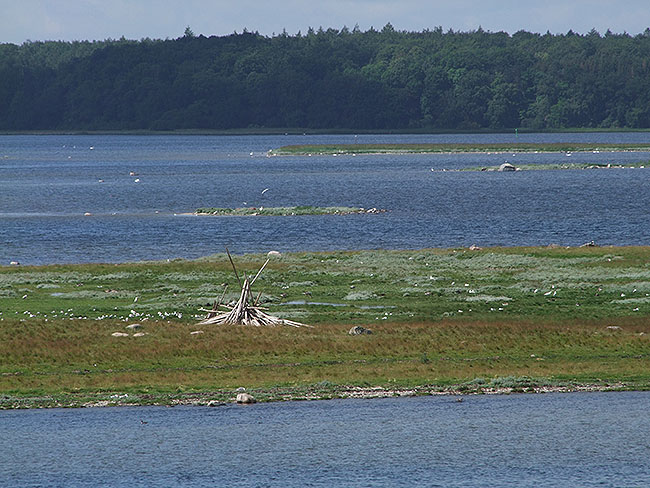 image/roskilde_fjord-2232.jpg