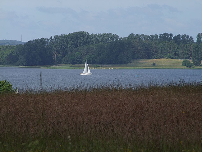 image/roskilde_fjord-2238.jpg