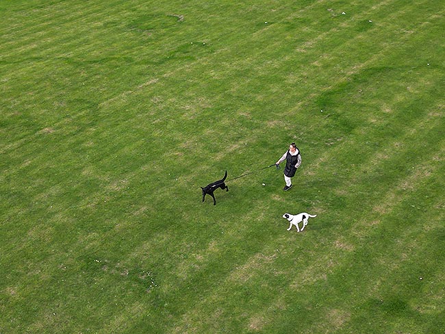 image/astrid_og_hunde-0238.jpg